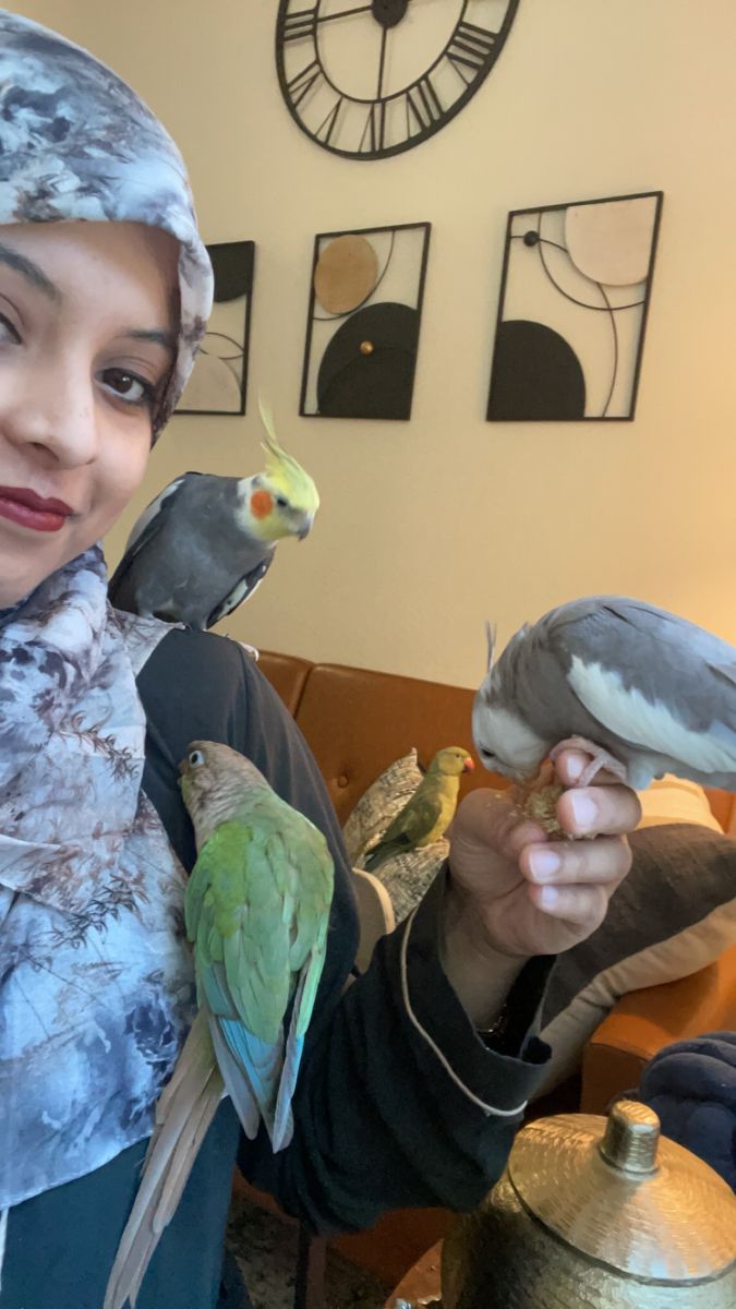 Volunteer holding several birds