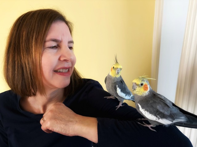 Woman with cockatiels on her arm
